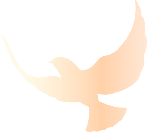 圖片關(guān)鍵詞