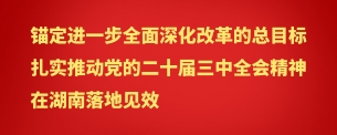 學(xué)習(xí)貫徹黨的二十屆三中全會(huì)精神